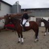 Lina und Ajax 5